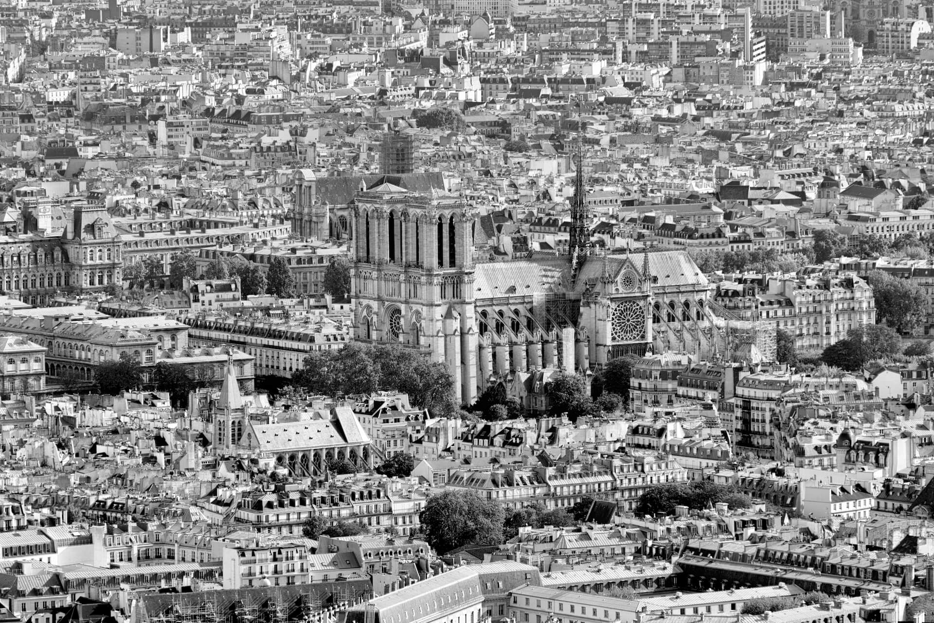destrucciones de Notre-Dame