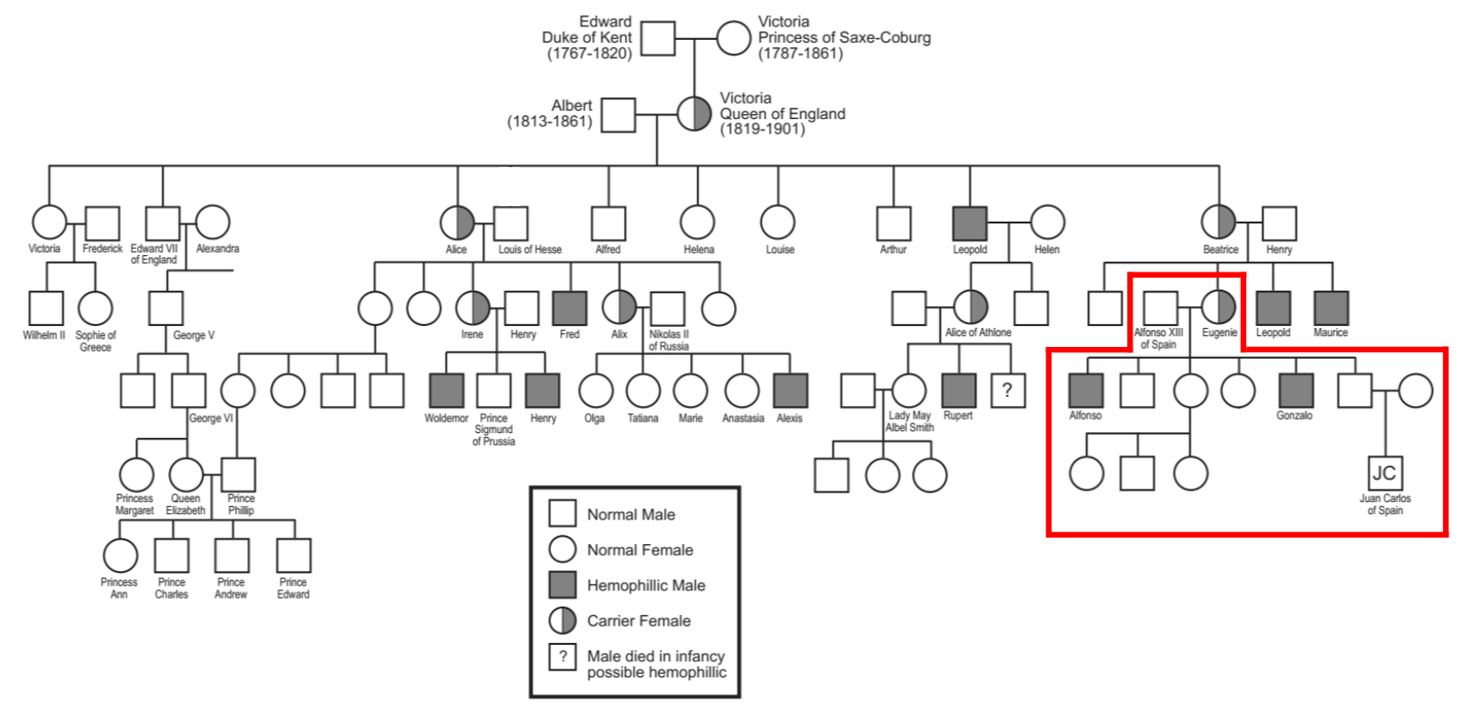 Transmisión hereditaria endogamia y los Austrias españoles