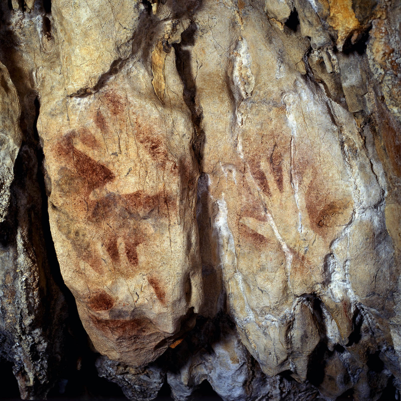 II Premio Nacional de Arqueología y Paleontología Fundación Palarq la Garma