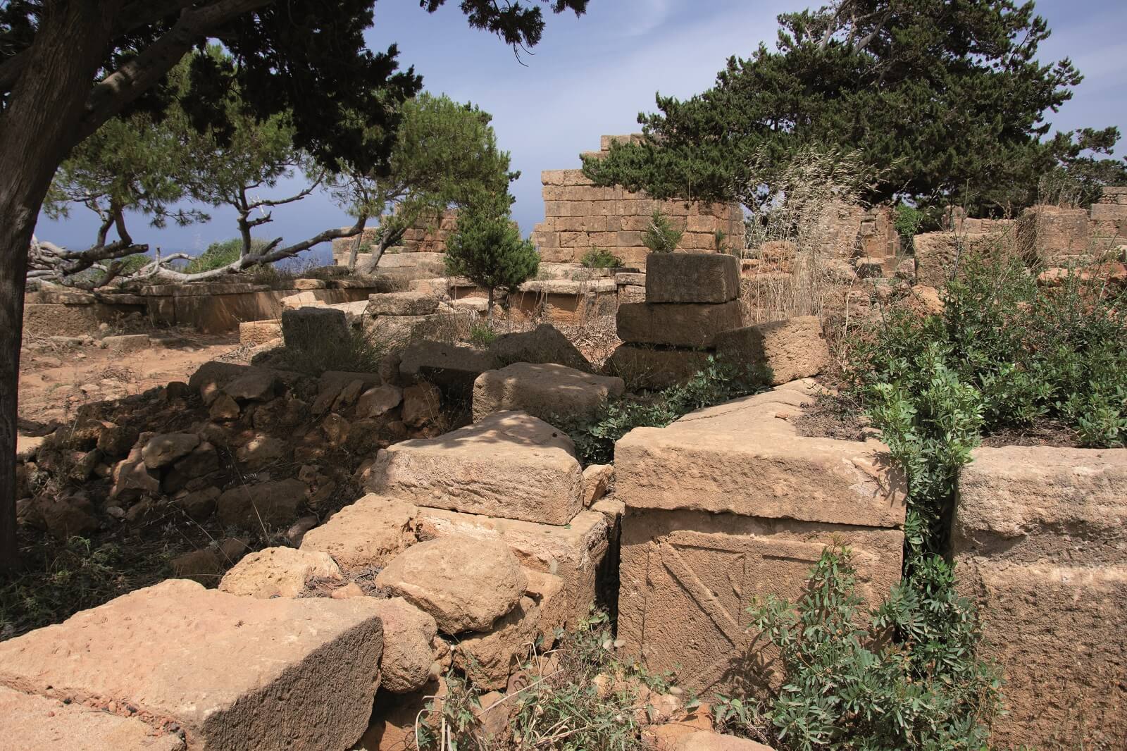 Sarcófagos paleocristianos basílica Santa Salsa, Tipasa