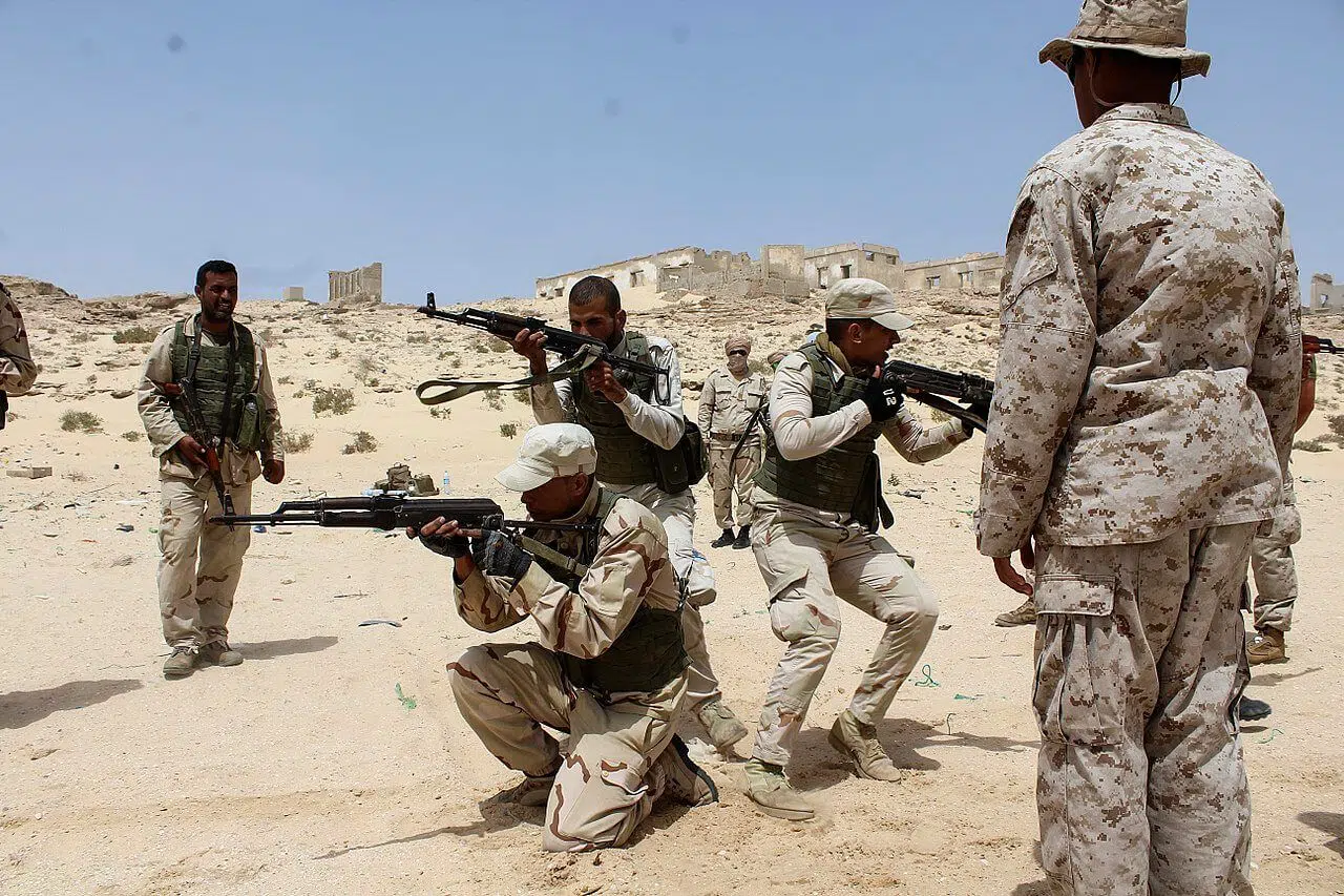 Sagel marines mauritania