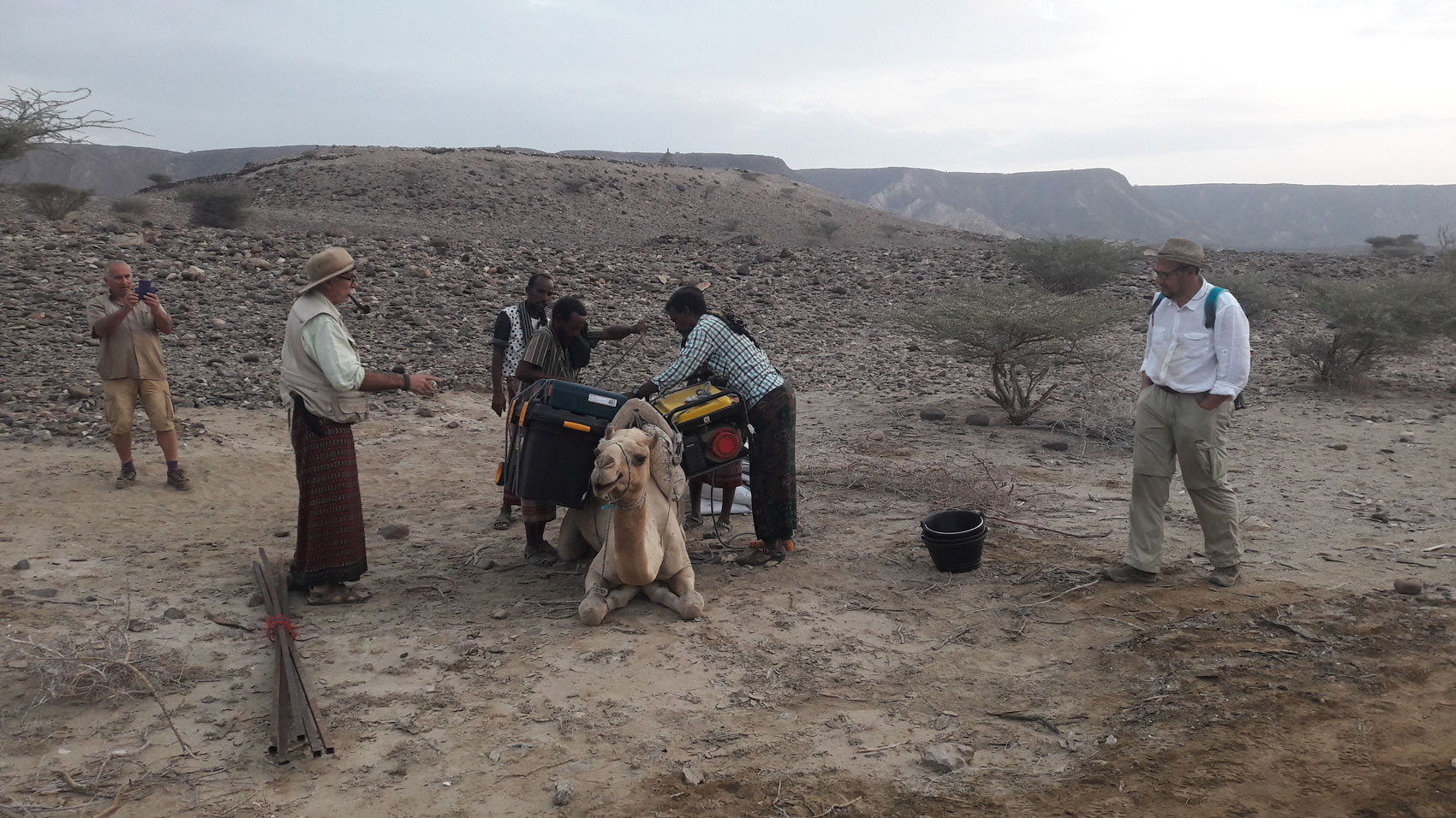  generador eléctrico camello Luba Gadhi 2 